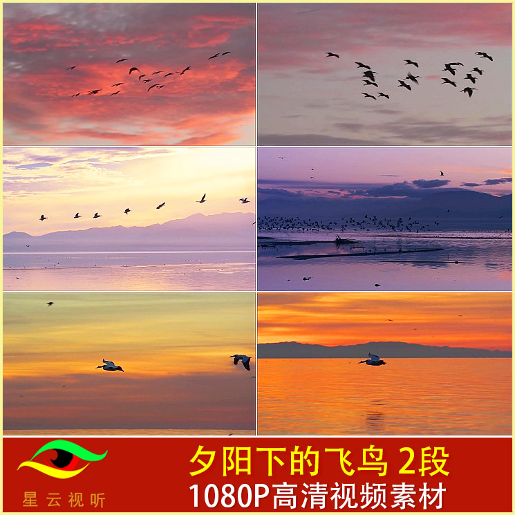 夕阳下的飞鸟 慢镜头 小鸟飞过湖面画面 鸟群 高清视频素材