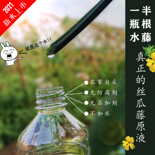 农家自采丝瓜水500ml天然丝瓜藤原液补水拍两瓶送半斤可直接喝