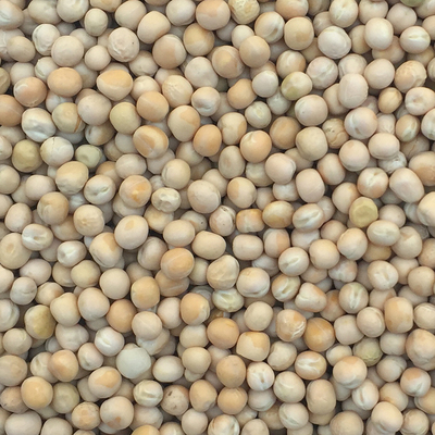 鸽粮生豌豆 白玉豌豆 鸽粮鸽饲料 拍一件5斤 全国大部分地区包邮