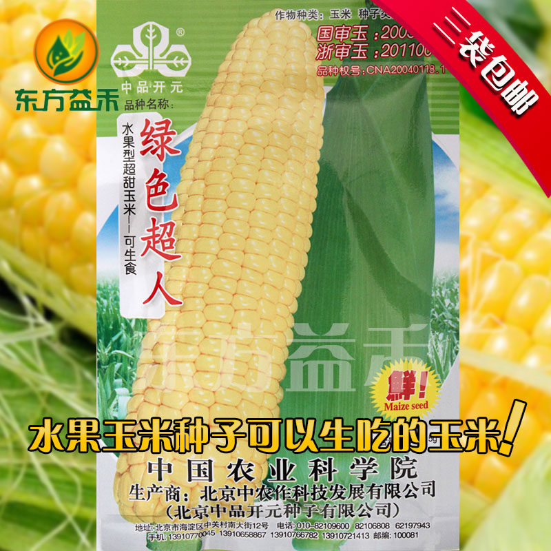 特价绿色超人水果玉米种子_超甜水果玉米种子 绿色超人 甜玉米种子