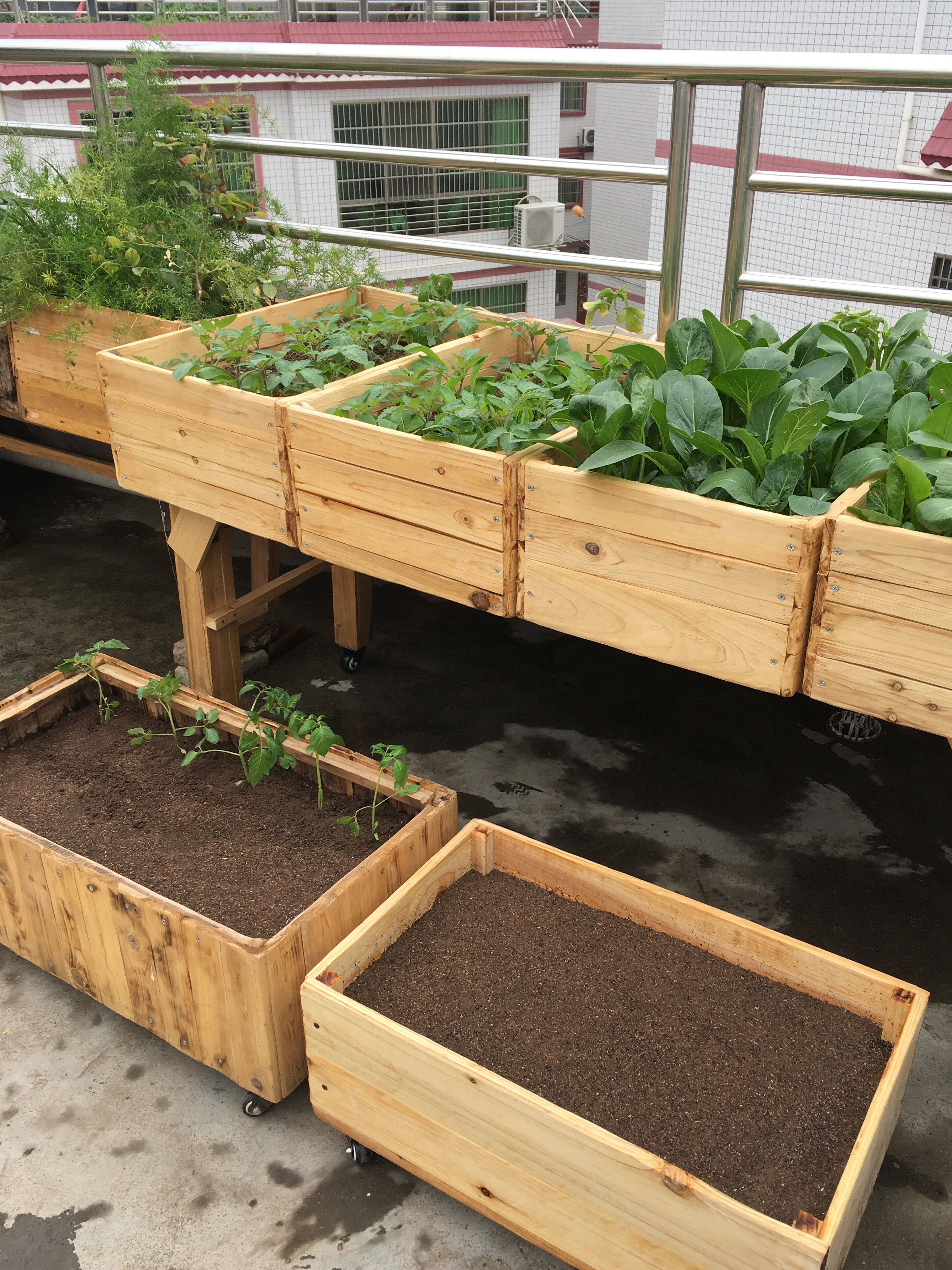 实木花盆长方形露天阳台种植箱原木种菜盆户外大型果树盆室内花箱