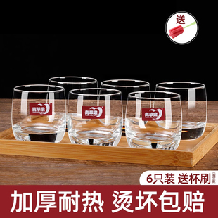 青苹果玻璃杯套装家用客厅耐热泡茶杯简约啤酒杯喝水杯子无盖6只