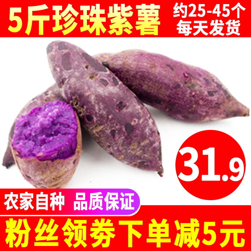 珍珠紫薯 红薯新鲜 5斤包邮迷你番薯农家现挖地瓜香薯紫芋头新品在类目 水产肉类/新鲜蔬果/熟食, 新鲜蔬菜/蔬菜制品, 新鲜蔬菜, 番薯中 - 来自Buy2taobao.com提供专业的淘宝代购服务