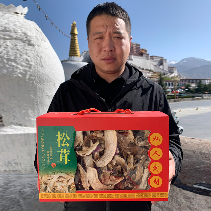 新鲜野生松茸干货正宗西藏特级松茸菌菇干片100g礼盒装非云南特产