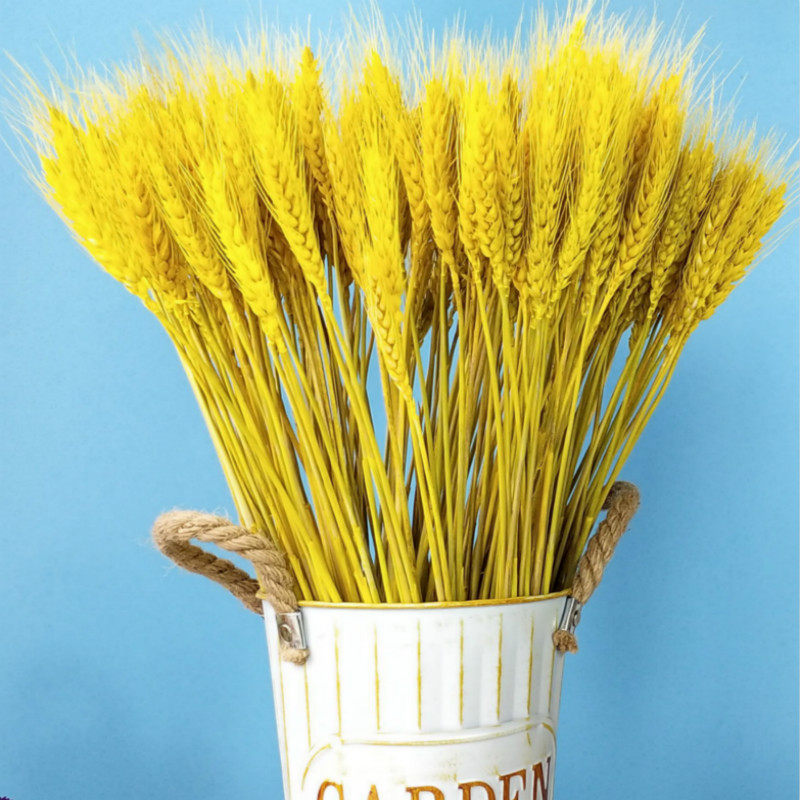 麦穗干花花束开业大卖大麦田园婚礼装饰礼品拍摄道具摆件真花小麦
