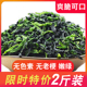 特嫩宁波精品万年青500g 青菜干 嫩菜芯 脱水蔬菜干 干菜商用划算