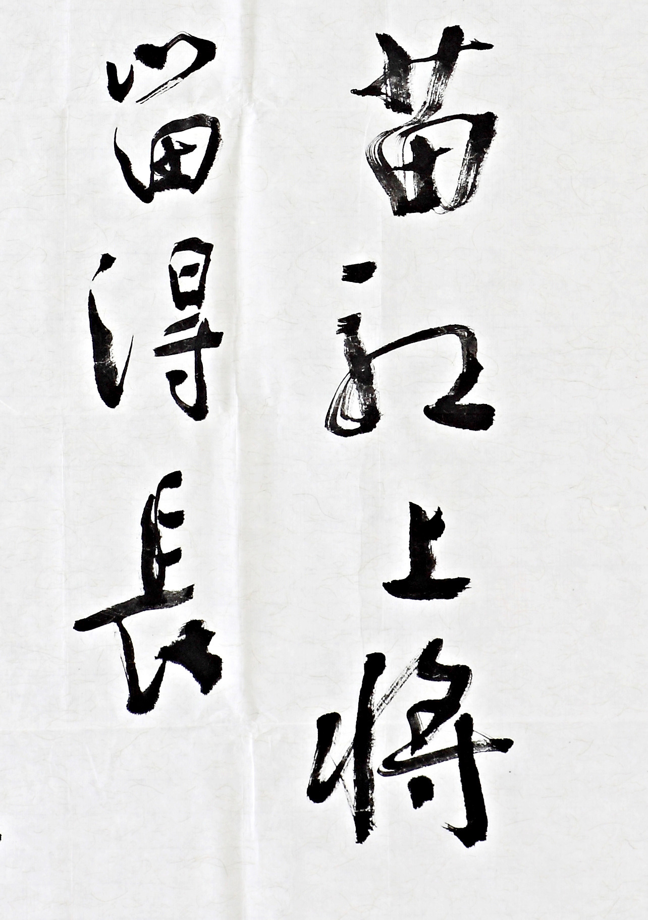 乐震文《行书赞上将肖华》