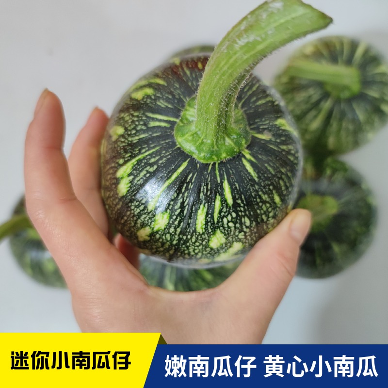 长沙农家【 4斤】湖南新鲜蔬菜自种嫩南瓜绿皮迷你小南瓜仔青南瓜