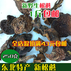 东北土特产大兴安岭香菇松蘑菇 野生松菇 松蛾子粘团子干货500g