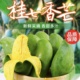 【桂七】广西百色田东桂七芒果热带水果芒果果园新鲜现摘发货