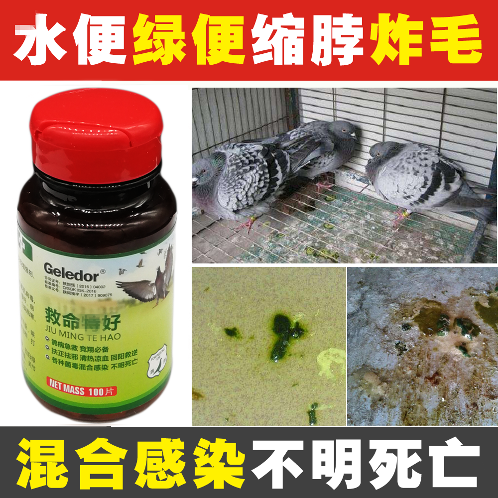 格莱德鸽药大全【救命特好】赛鸽混合感染新城疫腺病毒伤寒水绿便