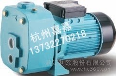 利欧水泵  双管喷射泵 XDPM505A 非自动 自动 1.1KW