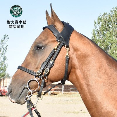 耐力赛水勒骑马笼头马嚼子缰绳口衔马龙头马术用品装