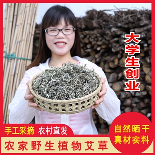 野生新鲜晒艾草干艾叶草500g农家干艾草艾叶艾草叶艾叶干泡脚泡澡