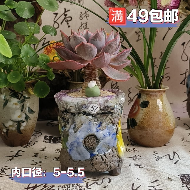 景德镇手工多肉花盆坛子姐多肉花盆小老桩粗陶油画风