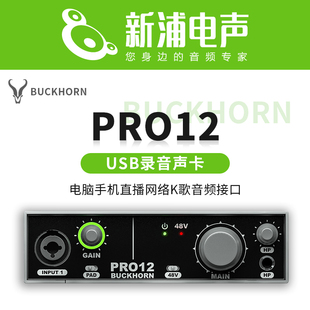 buckhorn/跳羚pro12声卡usb录音声卡电脑手机直播k歌网络音频接口