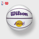 Wilson威尔胜官方NBA球队队徽迷你篮球签名纪念球儿童mini3号球