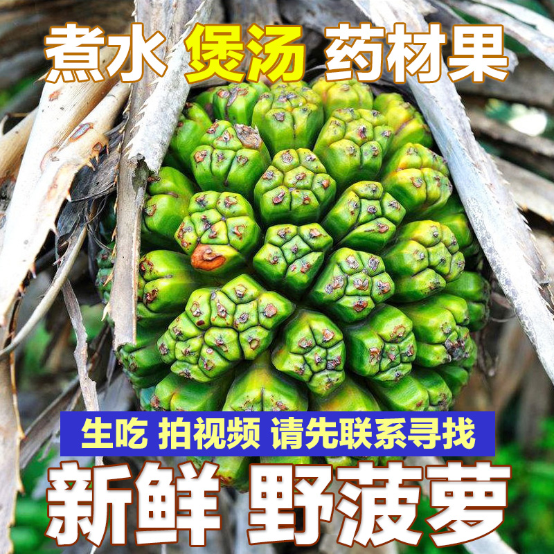 野菠萝图片 功效图片