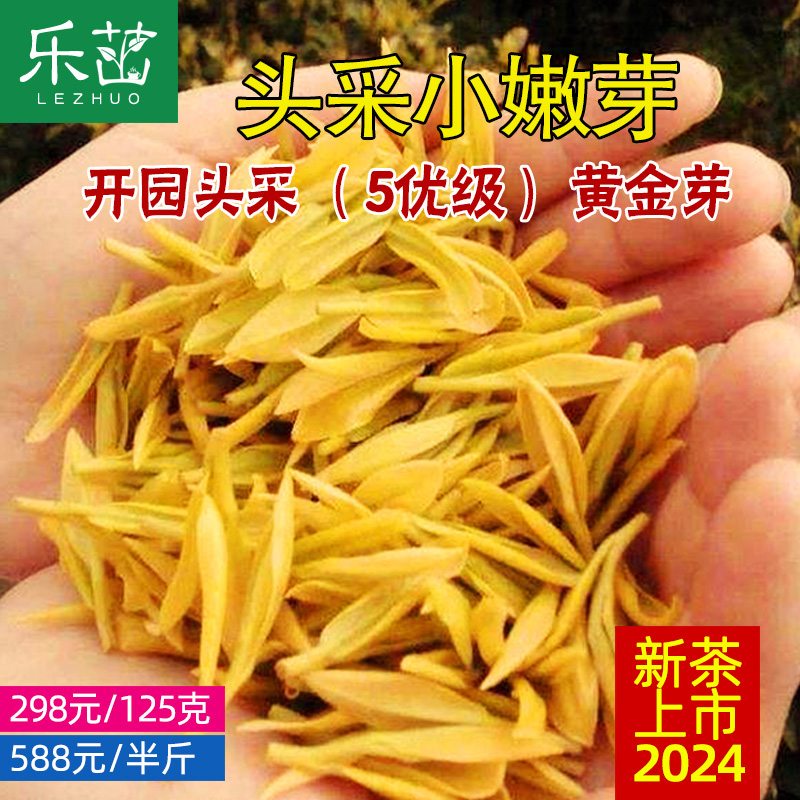 2024年新茶-乐茁黄金芽开园头采5优-明前特级安吉正宗黄金白茶叶