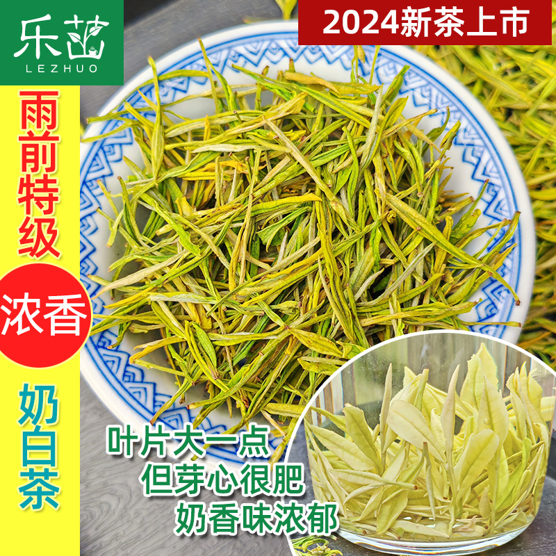 浓奶香2024年新茶雨前特级奶白茶