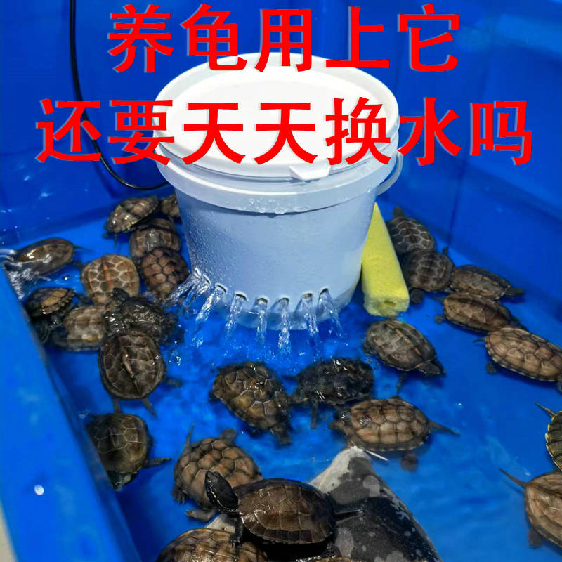 康卿龟用过滤器低水位过滤盒小号白色