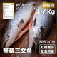 冷冻三文鱼整条挪威进口轮切中段三文鱼排鱼扒智利儿童辅食海鱼块