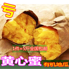 新货新鲜生红薯 5斤云南特产农家自种地瓜山芋生番薯红皮黄心包邮