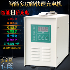 正品电瓶充电器12v24v修复脉冲智能纯铜数字显示电流可调7ah-200