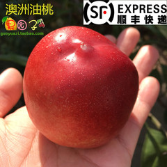 现货澳大利亚进口油桃新鲜水果澳洲油桃3斤装桃子特价顺丰包邮