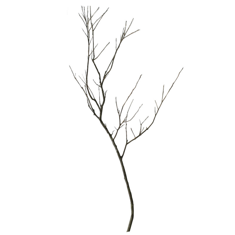 装饰干枝艺术树枝干花中式台面文艺插花禅意摆件创意饰品天然枯枝
