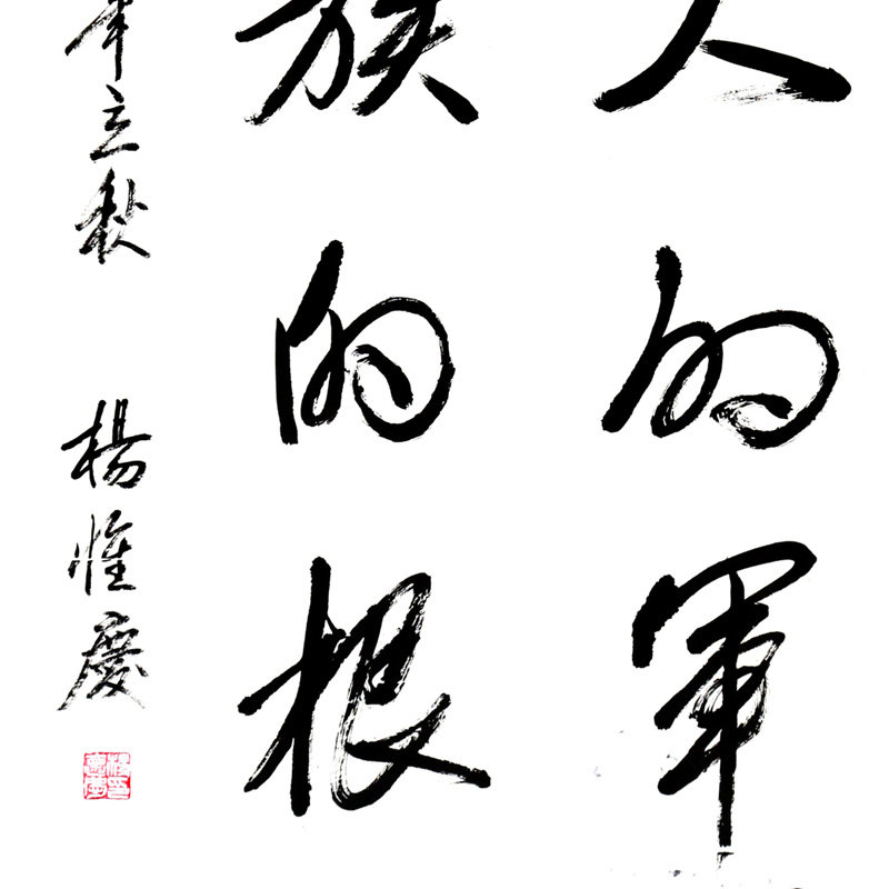 杨怀庆《强大的军队 民族的根本》原海军政委 党委书记