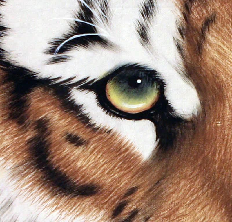 高伟 中国美协会员《虎头》工笔虎