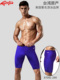 Dolfin 美国三大品牌之一台湾产男式及膝五分泳裤 舒适耐穿游泳裤