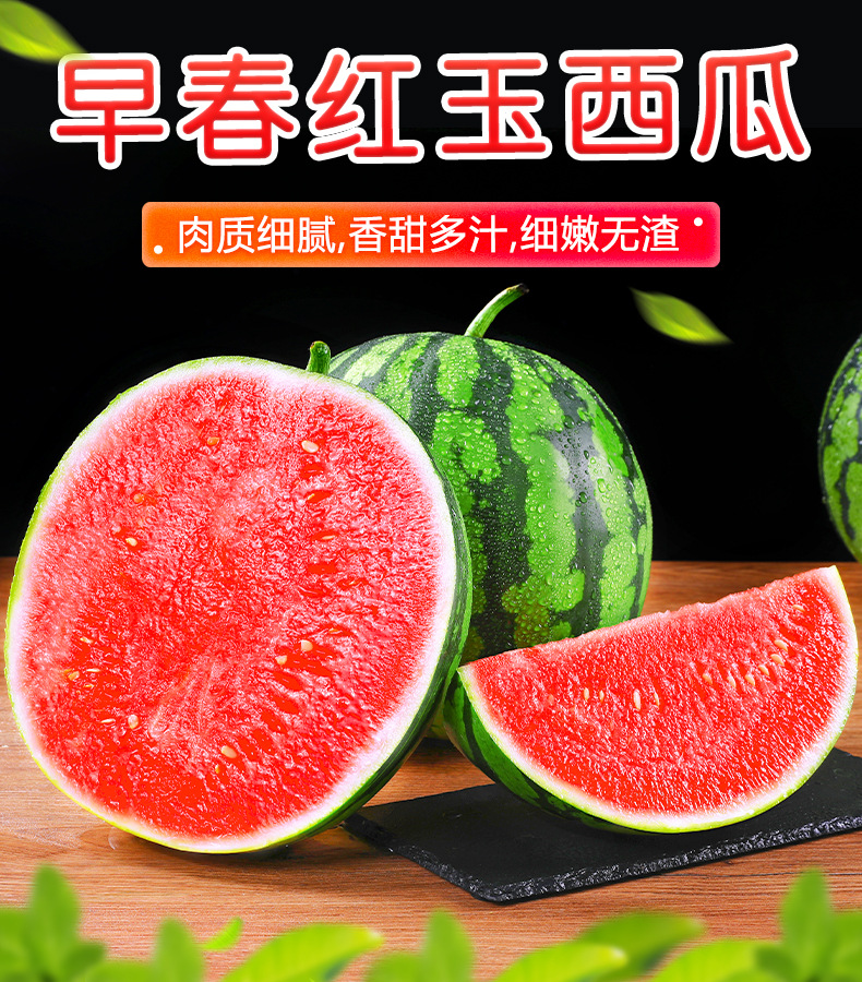 8424早春红玉大西瓜5-6斤现摘现发新鲜水果应季水果整箱甜薄皮2-3