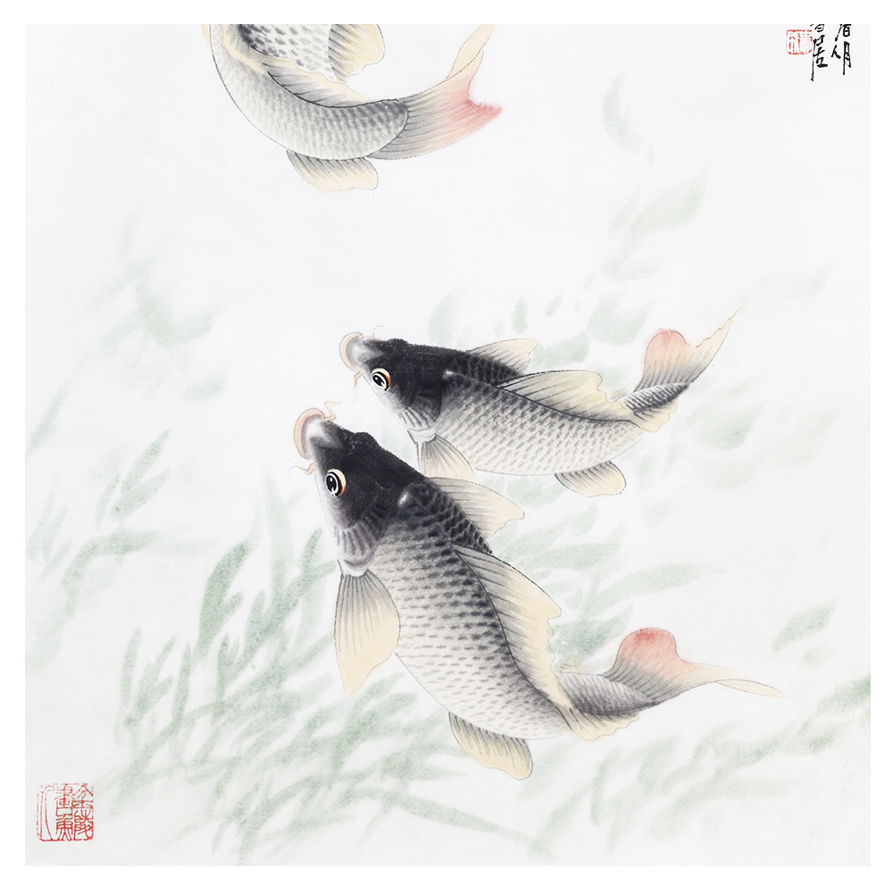朱贵成 《年年有鱼》 中国画鲤第一高手