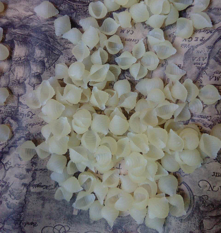 海南清补凉配料 贝壳粉 通心粉 螺丝粉 海南特色小吃300克