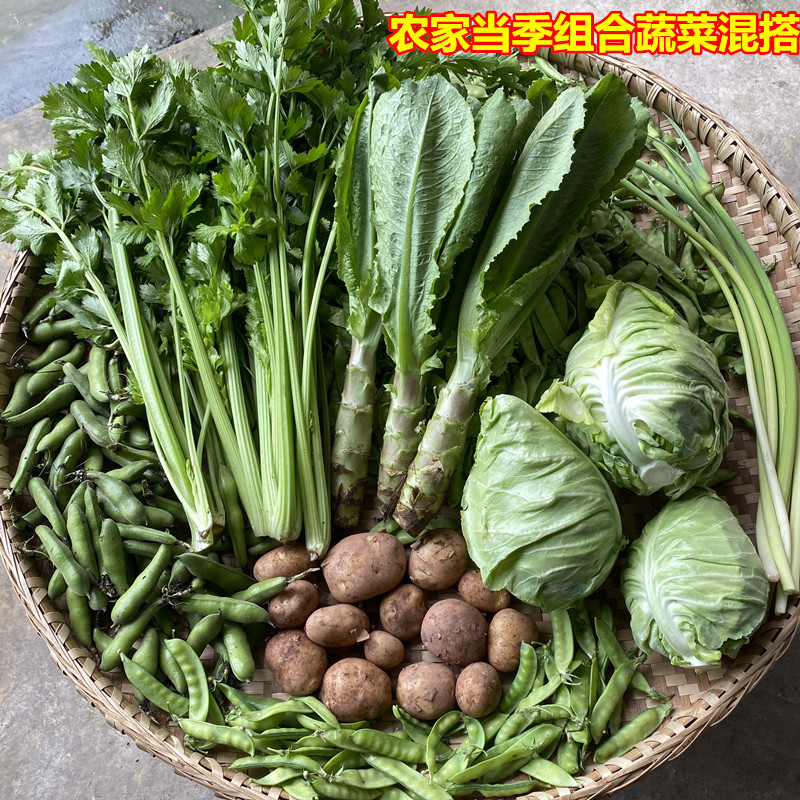 重庆新鲜农家菜组合菜包菜韭菜黄瓜搭配应季蔬菜混合发货现摘现发