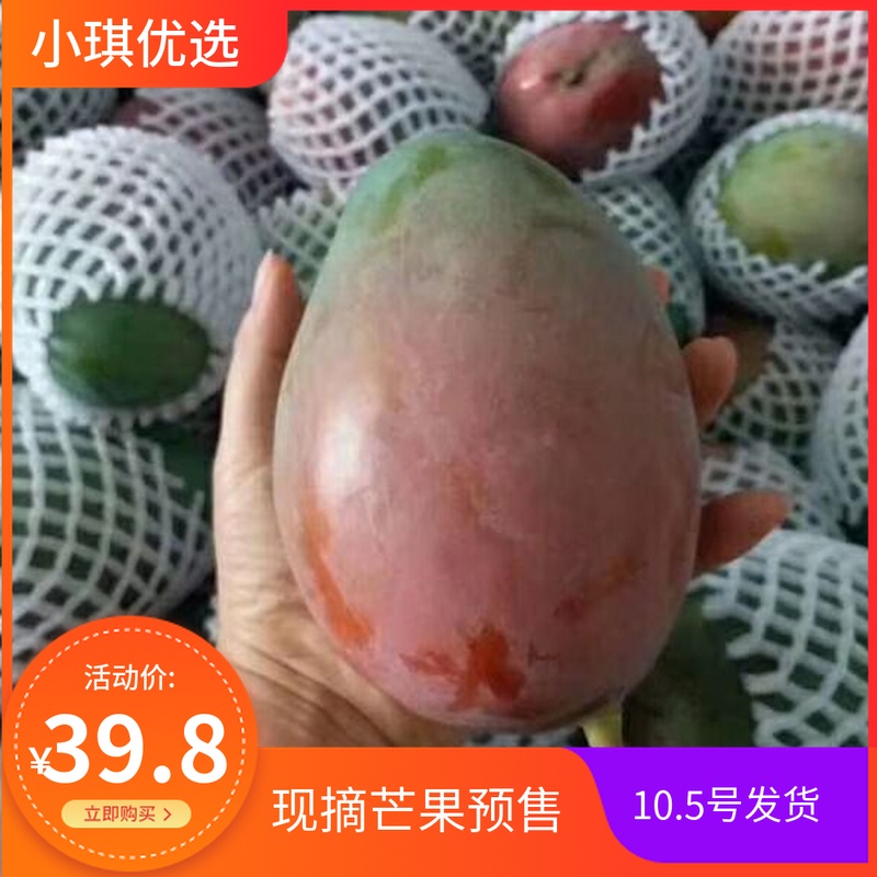 凱特芒果現摘現發超甜凱特芒果10斤裝新鮮包郵在類目 水產肉類/新鮮蔬果/熟食, 新鮮水果, 芒果中 - 來自Buy2taobao.com提供專業的淘寶代購服務