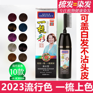 葡萄紫染发剂2023流行色显白一梳彩纯植物蓝黑巧克力棕色板栗酒红