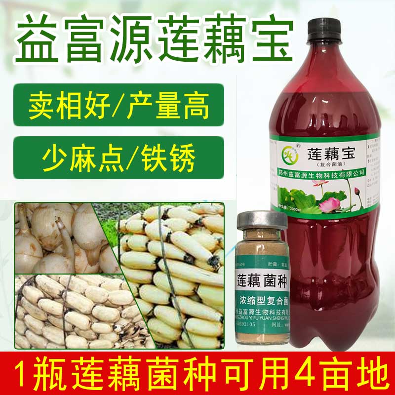 益富源莲藕宝专用菌种EM菌肥料麻点藕锈黄叶面肥生长膨大素剂烂藕