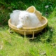 刘家人竹编网红爆款三脚架离地猫窝宠物窝四季通用猫床（送垫子）