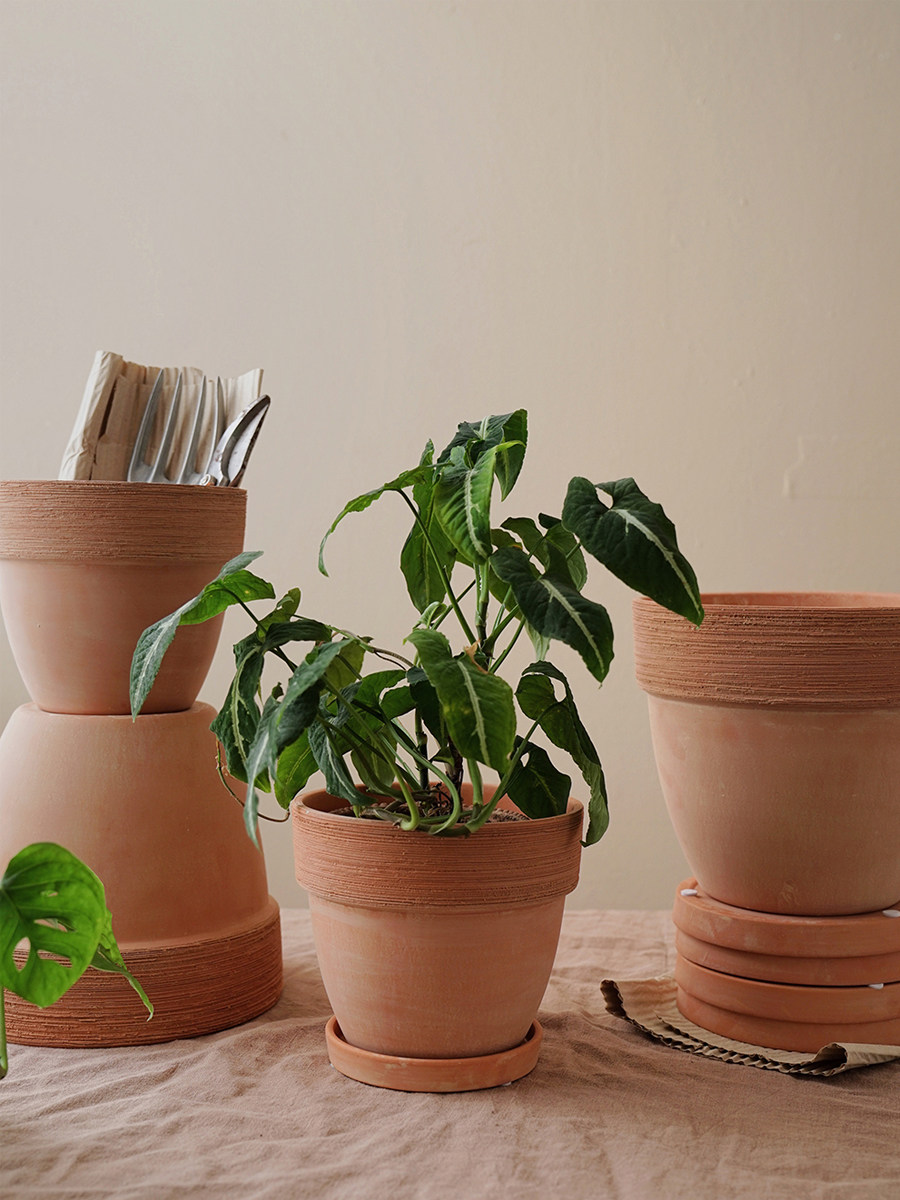 植物私生活 北欧风韩国风手工仿古拉丝户外花园红陶陶土花盆