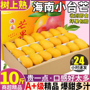 树上熟 10斤海南小台芒新鲜芒果鲜果水果热带超甜台农整箱包邮大9