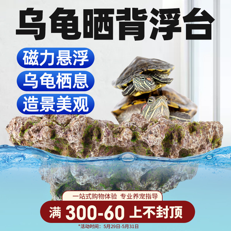 乌龟晒台宠物龟晒背水龟缸高水位造景
