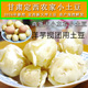 新鲜甘肃土豆定西小土豆新大坪洋芋农家自种马铃薯旱地高山沙面