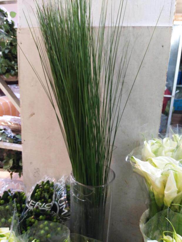 鲜花基地直供云南昆明斗南同城上海速递家用水养桌花广州进口钢草