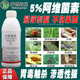 5%阿维菌素悬浮剂果树蔬菜水稻花卉螨虫红蜘蛛根结线虫杀螨杀虫剂