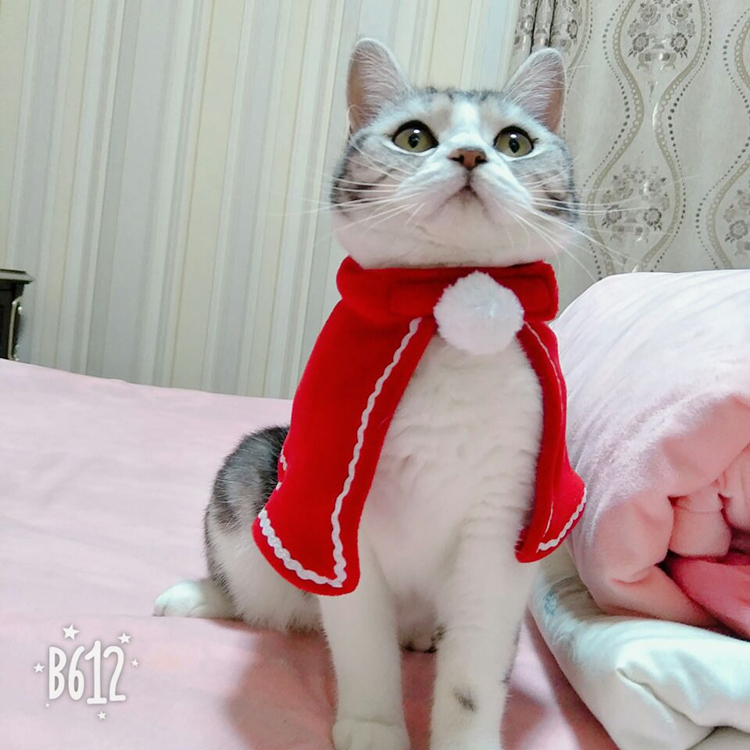 Christmas clothes Pets cloak Dogs Kitty gules new year Cape Jubilation Pets Kitty Dogs Transfiguration equipmentin the Pet/Pet food and supplies , Pet apparel and accessories , Pet clothing/Raincoat category - from Buy2taobao.com to provide professional Taobao agent buy service