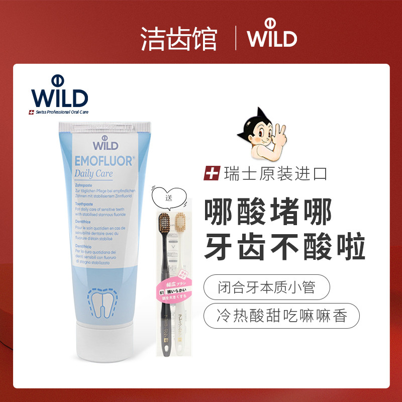 瑞士Dr.wild怀尔德进口牙釉质