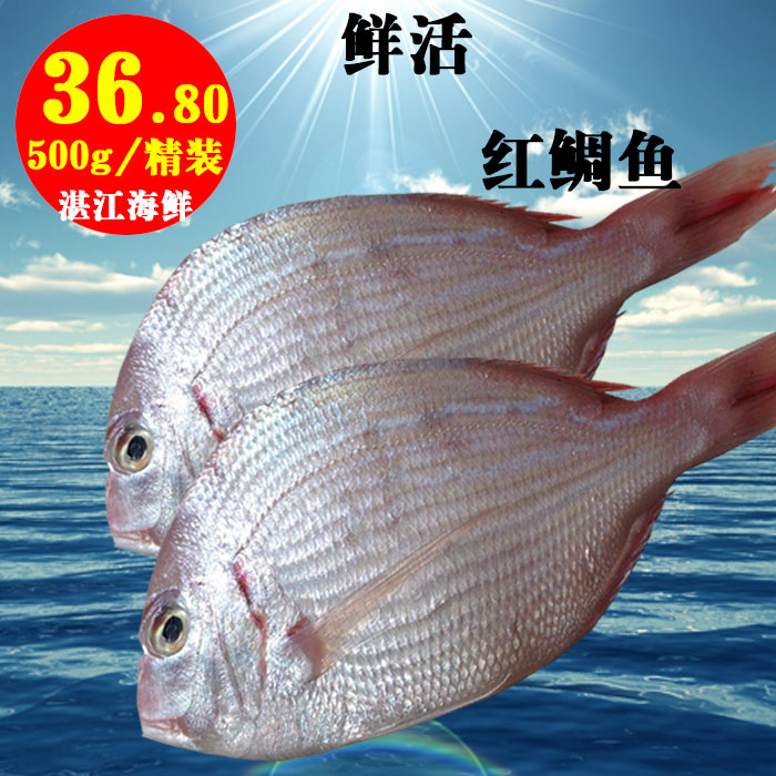 北部湾特产红鲷鱼新鲜冰鲜鱼深海鱼野生生鲜鱼鲜活水产500g/精装在类目 水产肉类/新鲜蔬果/熟食, 海鲜/水产品/制品, 其它中 - 来自Buy2taobao.com提供专业的淘宝代购服务